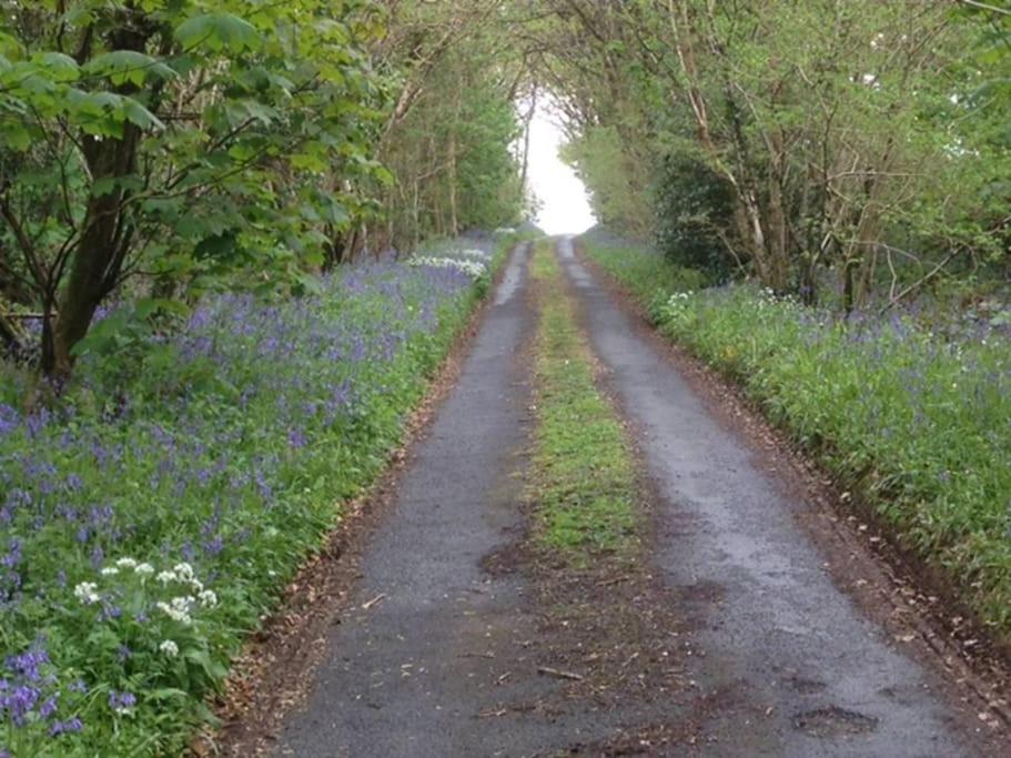 Drovers Cottage Tavistock  Bagian luar foto