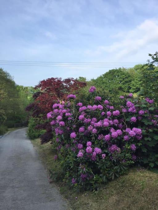 Drovers Cottage Tavistock  Bagian luar foto